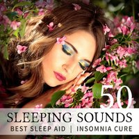 Yoga Exercises: Gentle Stream - Beautiful Deep Sleep Music Universe