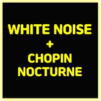 Chopin (Nocturne) + rain and birdsong (white noise healing, lullaby) - White Noise