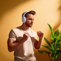Líneas Sinfónicas De Cámara - Música de sexo lento & Sonidos de Pájaros en el Bosque & Astro laboratorio binaural