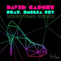 Little Glass Slipper - David Garcet & Emilia Rey & David From Venus