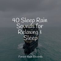 Water, Small, Creek, Close - Chakra Meditation Universe & Nature's Symphony & Sol y Lluvia