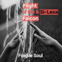 Fragile Soul - Flight of the Falcon & Si-Lexa