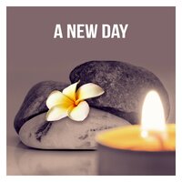 Music Therapy - Pure Massage for Life Universe