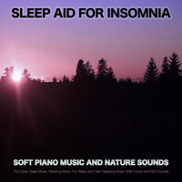 Soothing Bird Music For Sleep - Music for Sleep & Sleeping Music & Sleep Aid For Insomnia