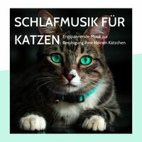Glauben - Konzentration Steigern & Meditation Einschlafen