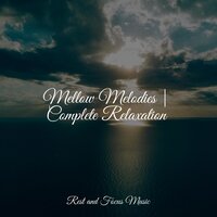Quiet Solitude - Avslappning Sound & Meditative Music Guru & Relaxation Sleep Meditation