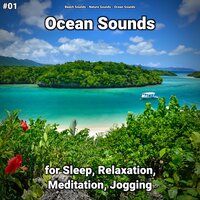 Ocean Sounds Pt. 73 - Beach Sounds & Nature Sounds & Ocean Sounds