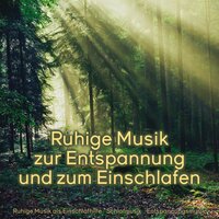 Melodien für Meditation - Entspannungsmusik & Schlafmusik & Ruhige Musik als Einschlafhilfe