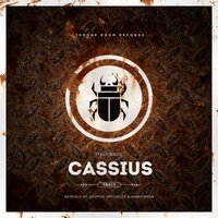 Cassius - ItaloBros