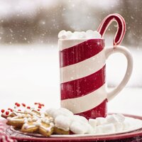 Holiday Delights - Christmas Music and Holiday Hits