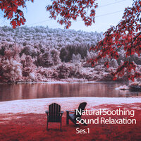 Now I Know - Study Music & Sounds & Sleeping Music Experience & Massage Music