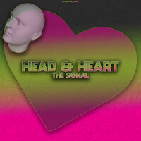 Head & Heart - The Signal