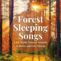Nature Sounds Lullabies - Natural Sounds Experts