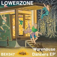 Unexpected Groove - Lowerzone