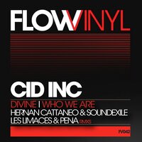 Who We Are - Cid Inc.