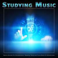 The Best Music For Reading - Studying Music & Study Music For Concentration & Study Music & Sounds