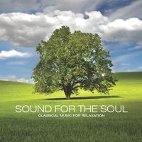 Orchestral Suite No. 3 in D Major, BWV 1068: II. Air - Yuri Sazonoff & Johann Sebastian Bach
