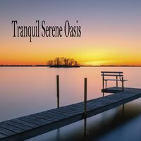 Gentle Rain Fall - Meditation Music & La mejor musica instrumental & Dormir Profundamente en Minutos