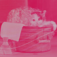 Trio Jazz Soundtrack for Friendly Cats - Cat Music Oasis