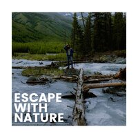 Playful Birds - 4D Nature Recordings