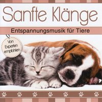 Für meinen Liebling - Korte