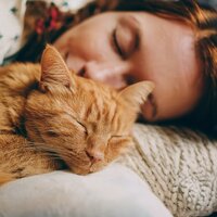 Notas Melódicas De Guitarra - Musica Relajante de Guitarra & Gato dormido & Guarida de música de gatos