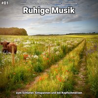 Ruhige Musik pt. 17 - Entspannungsmusik mit sanften Klängen & Schlafmusik & Entspannungsmusik