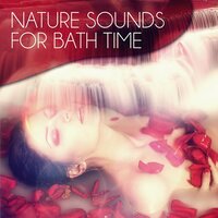 Warming Waters - Bath Time Universe
