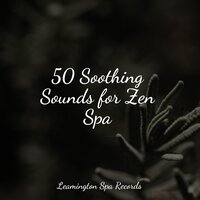 Sleepy - Sonidos de la Naturaleza Relax & Anxiety Relief & Relaxamento