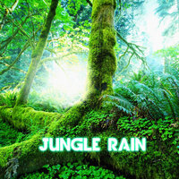 Jungle Night rain & thunder - Nature Sound & Rain Power & Weather Storms & The Nature Sounds & Thunder Sounds & Thunderstorm