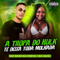 A Tropa do Hulk Te Deixa Toda Molhada - Mc Rose Dá Treta & Dj Java