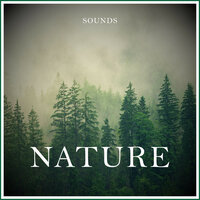 Nature Sounds for Sleeping, Pt. 01 - Nature Sounds