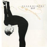 Cuts You Up - Peter Murphy