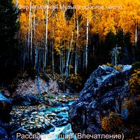 Звуки (Учёба) - Фортепианная Музыка простое число