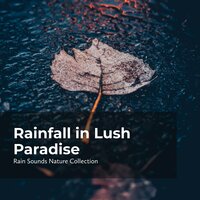 Songbirds in Rain Tune - ASMR Rain Sounds & Rain Sounds Nature Collection & Sleepy Rain