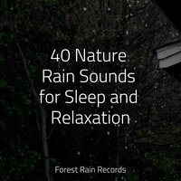 Beautiful Bird Song - Lush Rain Creators & Yoga Sounds & Big Sounds