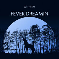 Golden Hour Revival - Curly Paxx