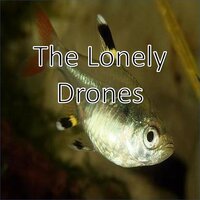 Drone Cone - Zarqnon the Embarrassed