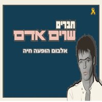 ג'יפסי ליידי - Adam & Offer Nissim & Ilan Peled