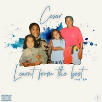 Graft - CESAR