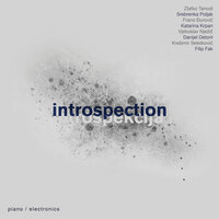 The Four Piano Etudes: No. 4 - Srebrenka Poljak