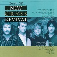 Metric Lips - The New Grass Revival
