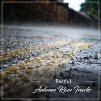 Rain Water Down a Drainpipe - Nature Sounds XLE Library, Life Sounds Nature, Deep Sleep FX & Life Sounds Nature & Deep Sleep FX & Nature Sounds XLE Library