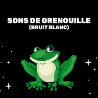 Bruit De Grenouille - Médecine Relaxante & Bruit Blanc Dormir & Bruit Blanc