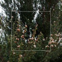 All Is Well - Late June