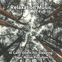 Relaxation Music, Pt. 21 - Soft Music & Relaxing Spa Music & Yoga