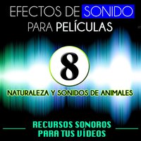 Ranas - Archivo Sonoro de Televisión