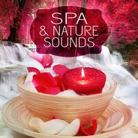 Chakra Balancing - Nature Sounds Universe