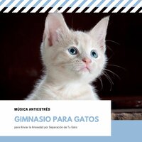 Estado de Ánimo Relajado - Música para gatos