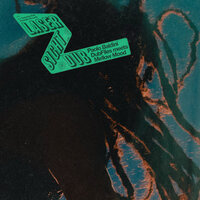 Laser Sight Dub - Paolo Baldini DubFiles & Mellow Mood